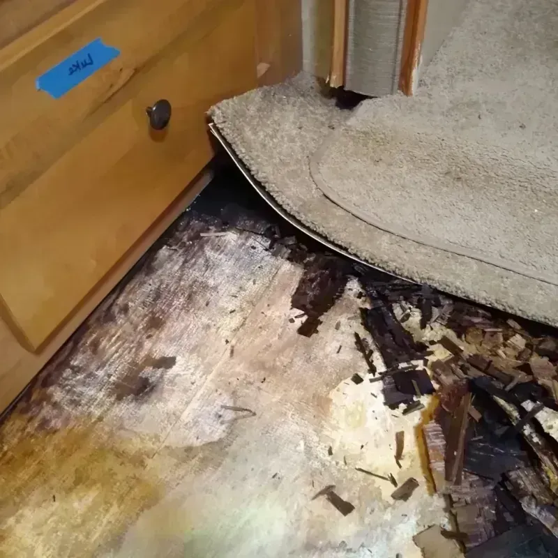 Wood Floor Water Damage in Cibecue, AZ